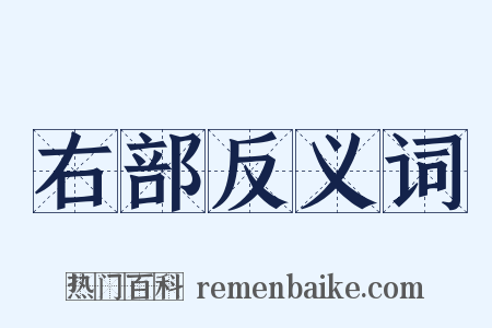 右部反义词是什么意思的图片
